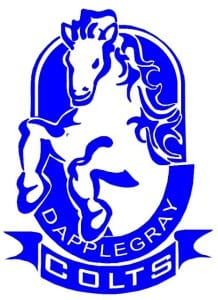 dapplegray colts logo